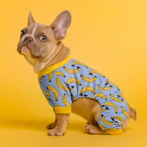 Instagram Picture (1)