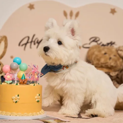 Instagram Picture (2)