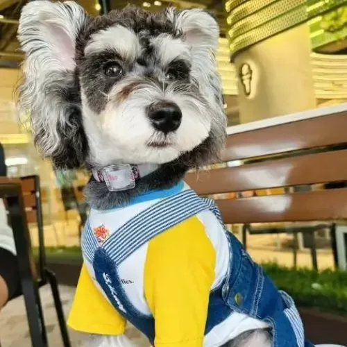 Instagram Picture (3)