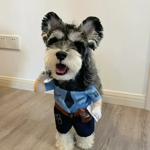 Instagram Picture (5)