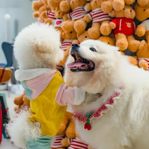 Instagram Picture (6)