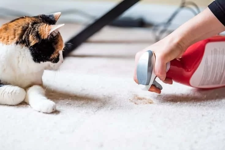 Cat Urine Odor Remover