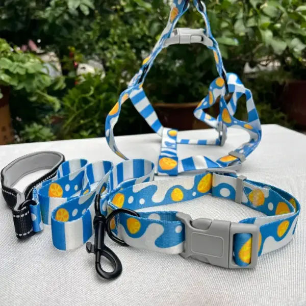 Dog Collar Leash Set
