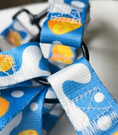 Blue Dog Harness H01 (2)