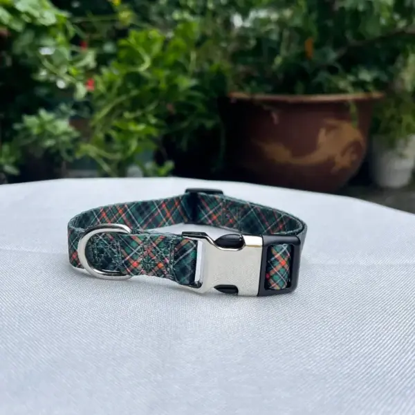 Christmas Dog Collar (1)