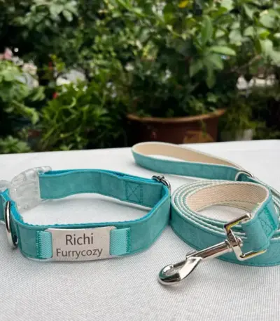 Collar And Leash Set (3)