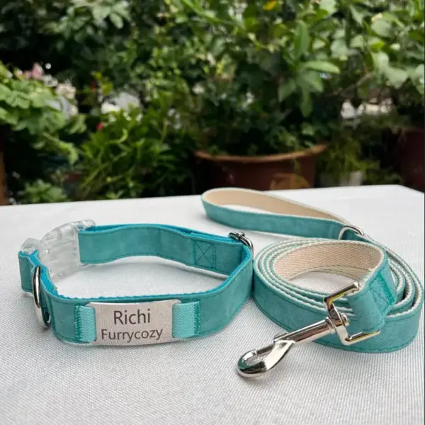 Collar And Leash Set (3)