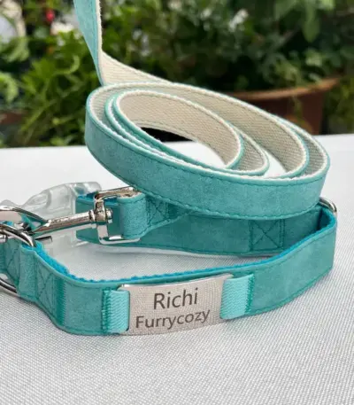 Collar And Leash Set (5)