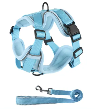 Collar Harness And Leash Set (1)