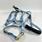 Collar Leash Set (1)