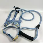 Collar Leash Set (2)