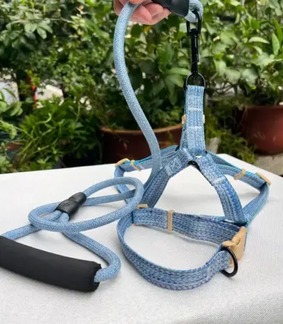 Collar Leash Set (3)