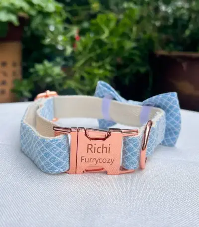 Custom Dog Collars (1)