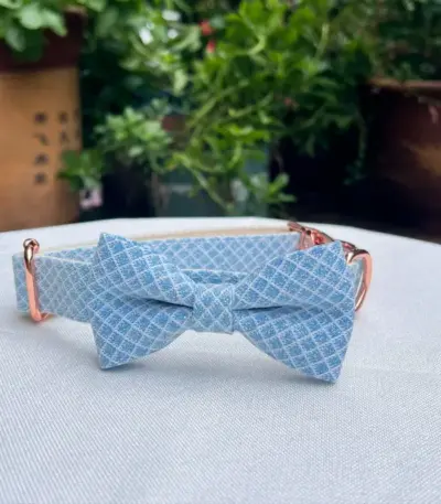 Custom Dog Collars (6)