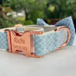 Custom Dog Collars C07 (1)
