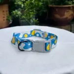 Cute Dog Collar (2)