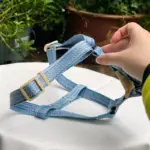 Cute Dog Harness (2)