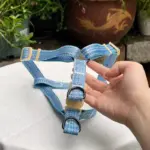 Cute Dog Harness (3)