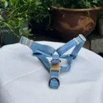 Cute Dog Harness (4)