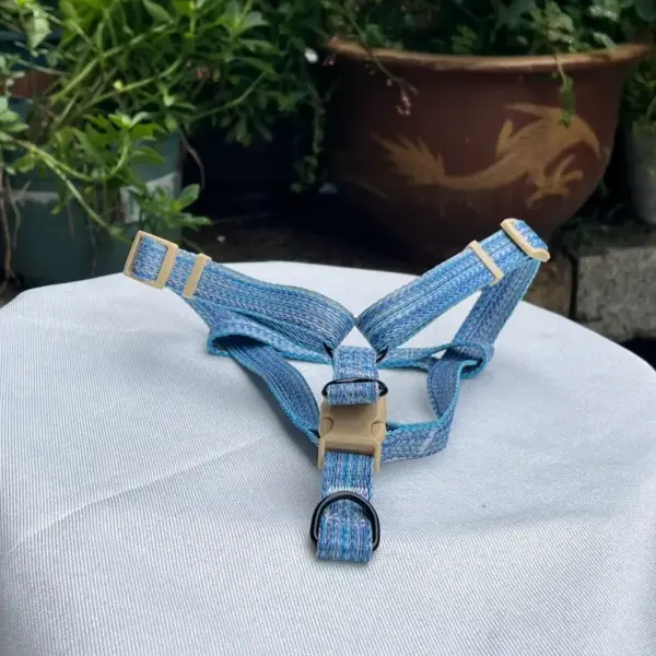 Cute Dog Harness (4)