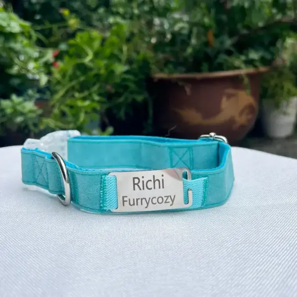 Dog Collar With Name (1)