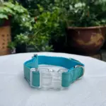 Dog Collar With Name (6)