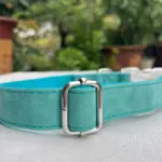 Dog Collar With Name C05 (1)