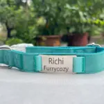 Dog Collar With Name C05 (2)