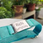 Dog Collar With Name C05 (3)