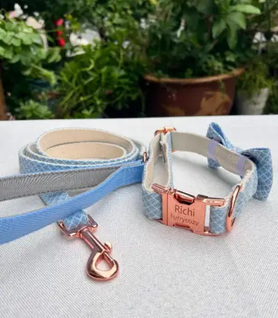 Dog Collars And Leashes (2)