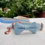 Dog Collars And Leashes (3)