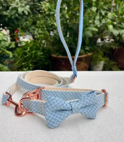 Dog Collars And Leashes (4)