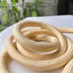 Dog Training Leash​ L02 (3)