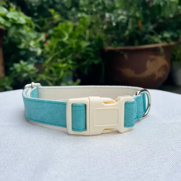 Leather Dog Collars (3)