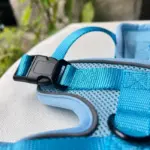 Puppy Dog Harness H03 (1)