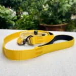 Rope Dog Leash (4)